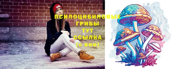ПСИЛОЦИБИНОВЫЕ ГРИБЫ Балабаново