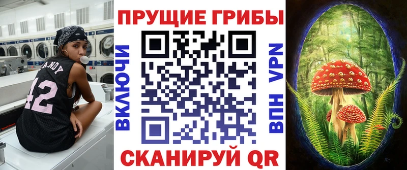 Псилоцибиновые грибы Psilocybine cubensis  Переславль-Залесский 